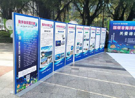 峨眉山KT板的种类和知识。